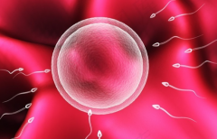 2026兰州三代试管助孕包成功可信吗？操作流程与注意事项全知道