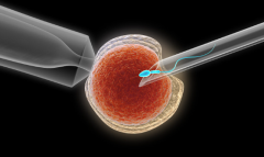 2026年做三代试管助孕价格是多少？格鲁吉亚费用构成详情