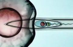 沈阳市试管婴儿包成功医院真实情况如何？