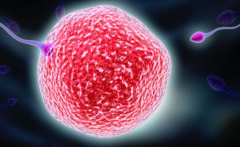 2026年没有结婚证能在淄博妇幼做试管婴儿吗？详细流程及费用解析