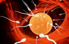 克拉玛依中心医院单身女性试管婴儿成功率有多高？