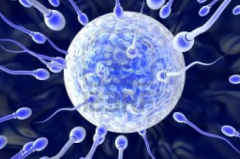 国内无结婚证单身女性在河南信合医院能做试管吗？