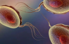 2026年单身女性在柳州工人医院做试管婴儿总费用是多少