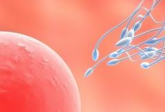 乌克兰试管包成功服务靠谱吗？私立试管机构包成功套餐可信度高吗？