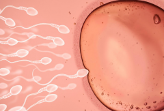 2026年赤峰市妇产医院未婚单身试管助孕价格表一览