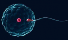 2026年北京301医院未婚试管婴儿费用清单公布