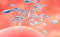 2026年在广西南宁做三代试管婴儿包成功靠谱吗？流程及注意事项一览