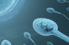 深圳做试管婴儿包成功医院可信吗？