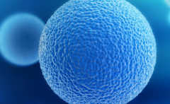 上海交通大学医学院附属第九人民医院单身女性试管婴儿成功率有多高