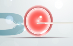 上海三代试管包成功避坑技巧：2026优质医院对比