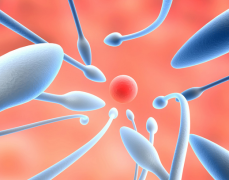 2026年荆州中心医院单身试管婴儿花费明细表参考