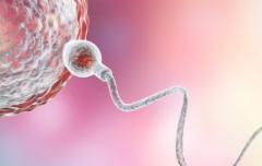 2026年无锡江大附属医院单身做试管可以吗？费用价目表来了