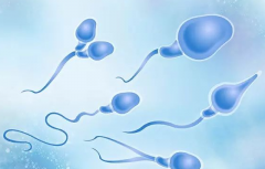 2026年海外三代试管婴儿包成功真相：操作步骤与避坑指南