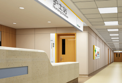 贵州贵阳市值得信赖的助孕机构公司排名前十有哪些？