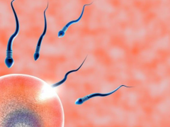 2026年罗山人民医院单身试管婴儿收费项目及价格一览表