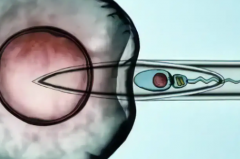 2026年在浙江杭州做三代试管包成功是真的吗？附医院介绍