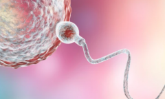 2026年莆田学院附属医院单身试管费用明细，预算8万元够不够？