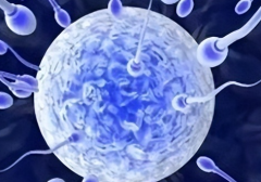 海南省海口市试管婴儿包成功套餐真相：私人机构医院宣传高成功率靠