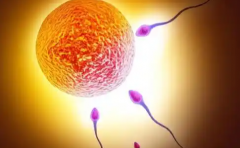 国外试管婴儿费用全包方案：详细看看都涵盖哪些服务内容