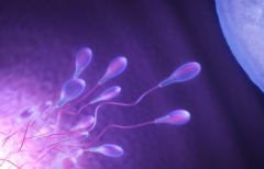 2026连云港市私立试管医院推荐榜单 这8家医院值得收藏起来