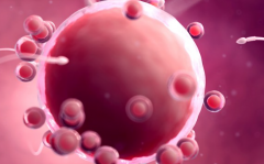 2026年在浙江省人民医院可以为单身人士做试管吗？