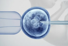 吉尔吉斯斯坦三代试管婴儿助孕一般需要多少费用？附试管移植全部花