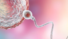 国外试管婴儿宣称包成功？这些关键细节你必须知道