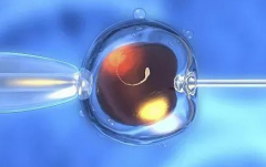 海外做试管婴儿无法保证100%成功，包成功机构很可能是骗局