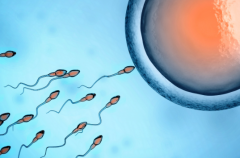 吉尔吉斯斯坦试管婴儿包成功医院可信吗？真实情况大公开