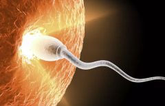 2026年在唐山市妇幼保健院可以为单身人士做试管吗？