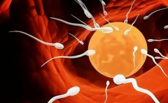 2026年单身女性在赣州人民医院做试管婴儿总费用是多少