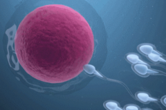 2026年在云南省第二人民医院单身人士能做试管吗？