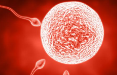 俄罗斯哪些试管婴儿中心敢承诺包成功？实地走访报告