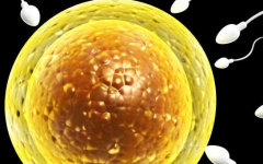 美国试管包成功套餐可靠吗？美国私立助孕机构包成功套餐是真的吗？