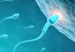 2026年单身人士能不能在泉州中医院做试管助孕？步骤全解析！