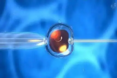 2026年在湖北武汉市做三代试管婴儿真的能包成功吗？流程与注意事项全