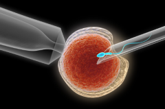 2026年单身群体在桂平人民医院做试管的条件与步骤一览