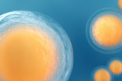 杭州市试管包成功私立医院靠谱吗？真实案例对比分析