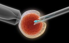 2026年海口三代试管婴儿包成功真相：操作步骤与避坑指南