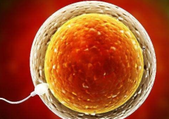 2026年单身人士想在西安高新医院做试管婴儿需要哪些步骤？