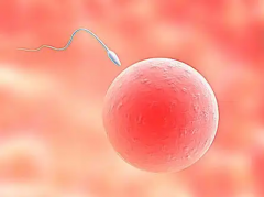 2026年单身人士能不能在清河县人民医院做试管助孕？步骤全解析！