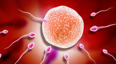 哈萨克斯坦哪家医院做试管婴儿包成功靠谱？