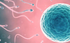 去柬埔寨做第三代试管婴儿能包成功么?