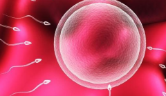 美国私人助孕机构提供的试管包成套餐可靠吗?