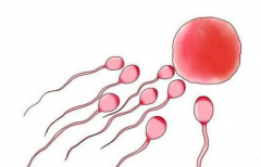 2026年宿迁鼓楼医院未婚试管婴儿费用清单公布!