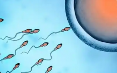 2026年单身去攀枝花妇幼做一次三代试管要花多少钱？费用详细介绍