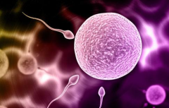 柬埔寨那些私立医院做试管承诺一次成功是真的吗？