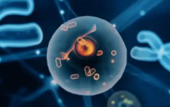 友情提醒：安徽省合肥市三代试管婴儿包成功需警惕这些陷阱！