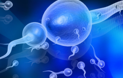 江苏省单身女性在江苏省中医院做试管婴儿成功率有多高？