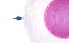 2026年在徐州市中医院可以为单身人士做试管吗？